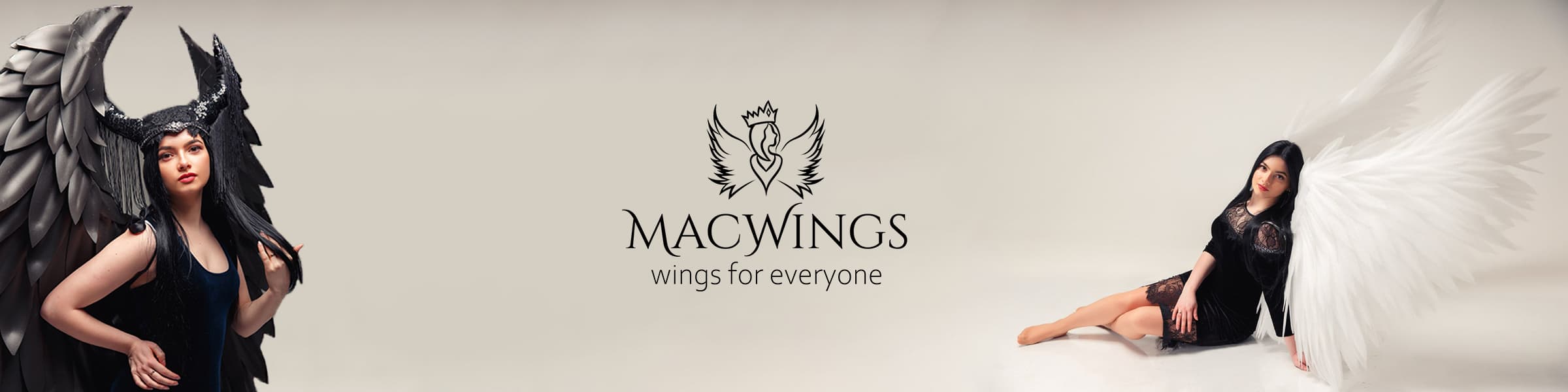 MacWings Hero